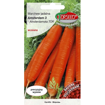 Marchew Wczesna Amsterdam Soczysta Otoczka